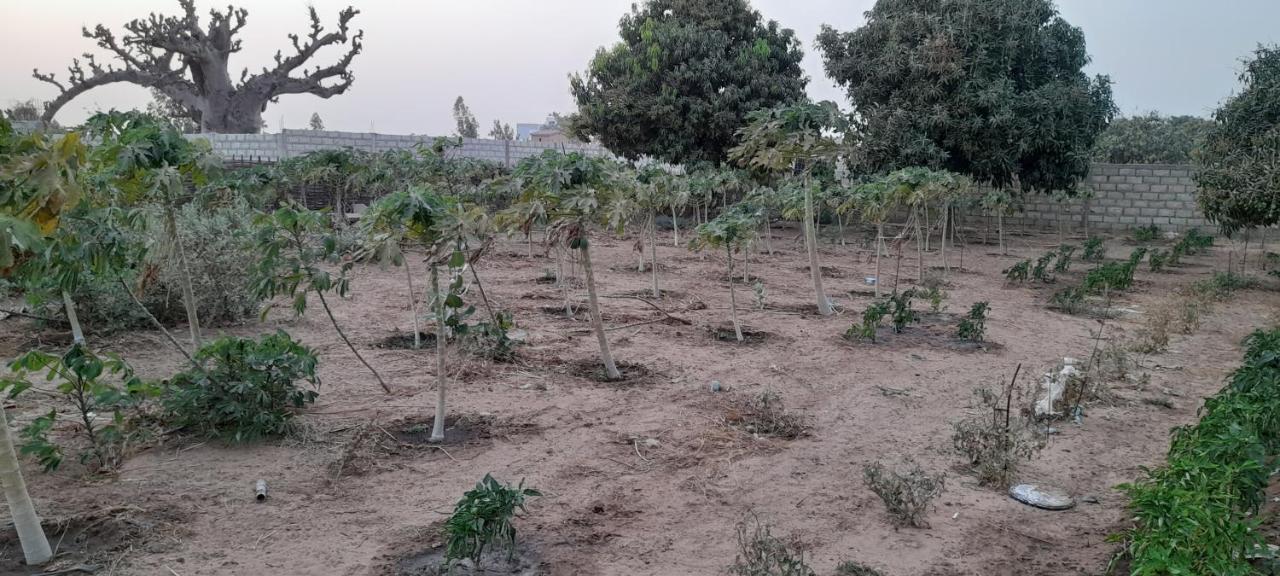 Saly Lrad Le Village Ngaring Zewnętrze zdjęcie